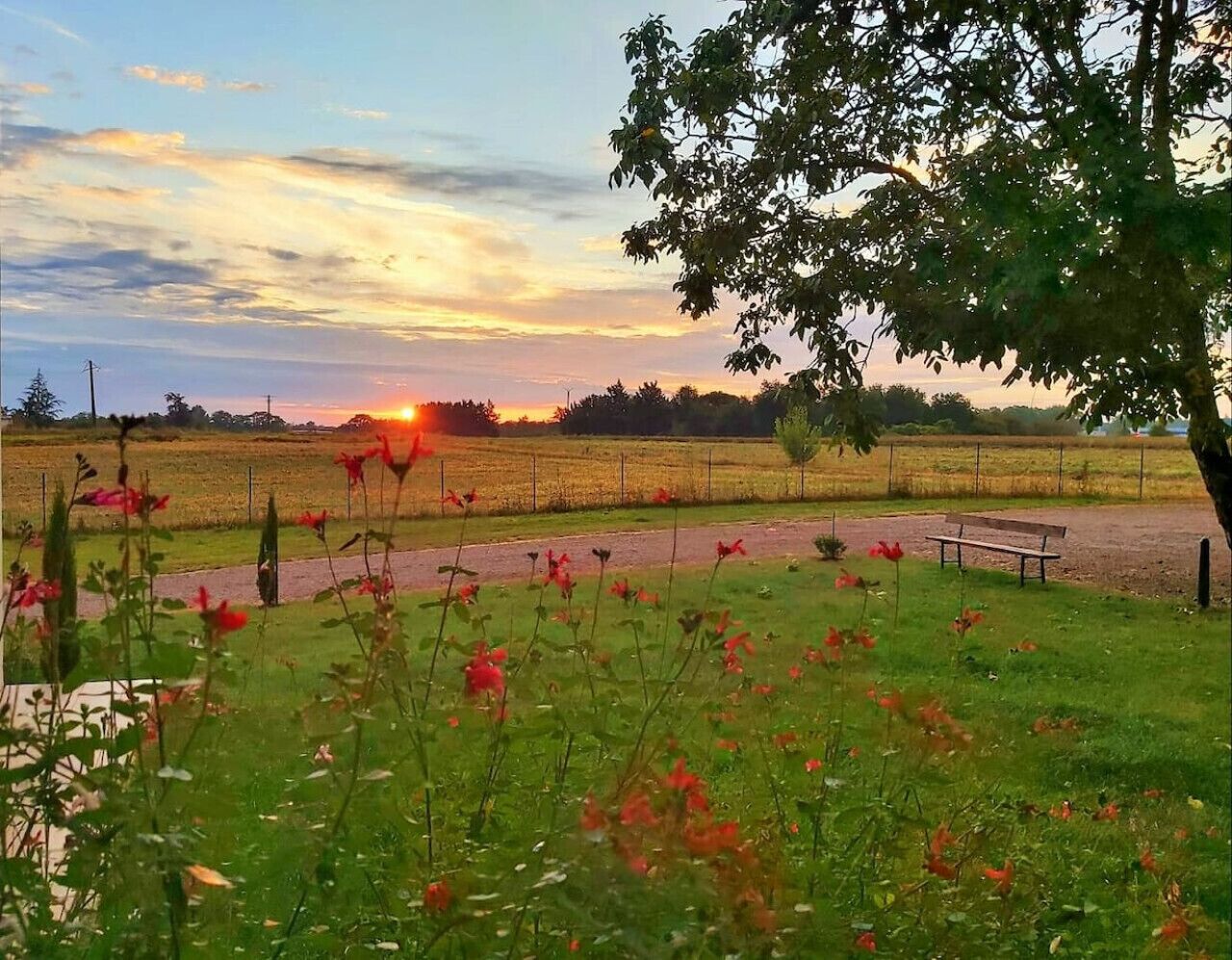 A park with a bench and a sunset in the background.