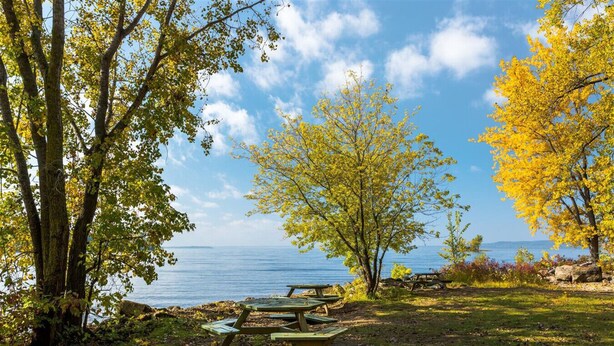 Un espace de pique-nique aménagé au bord du lac, avec des bancs et une vue dégagée sur l’eau.