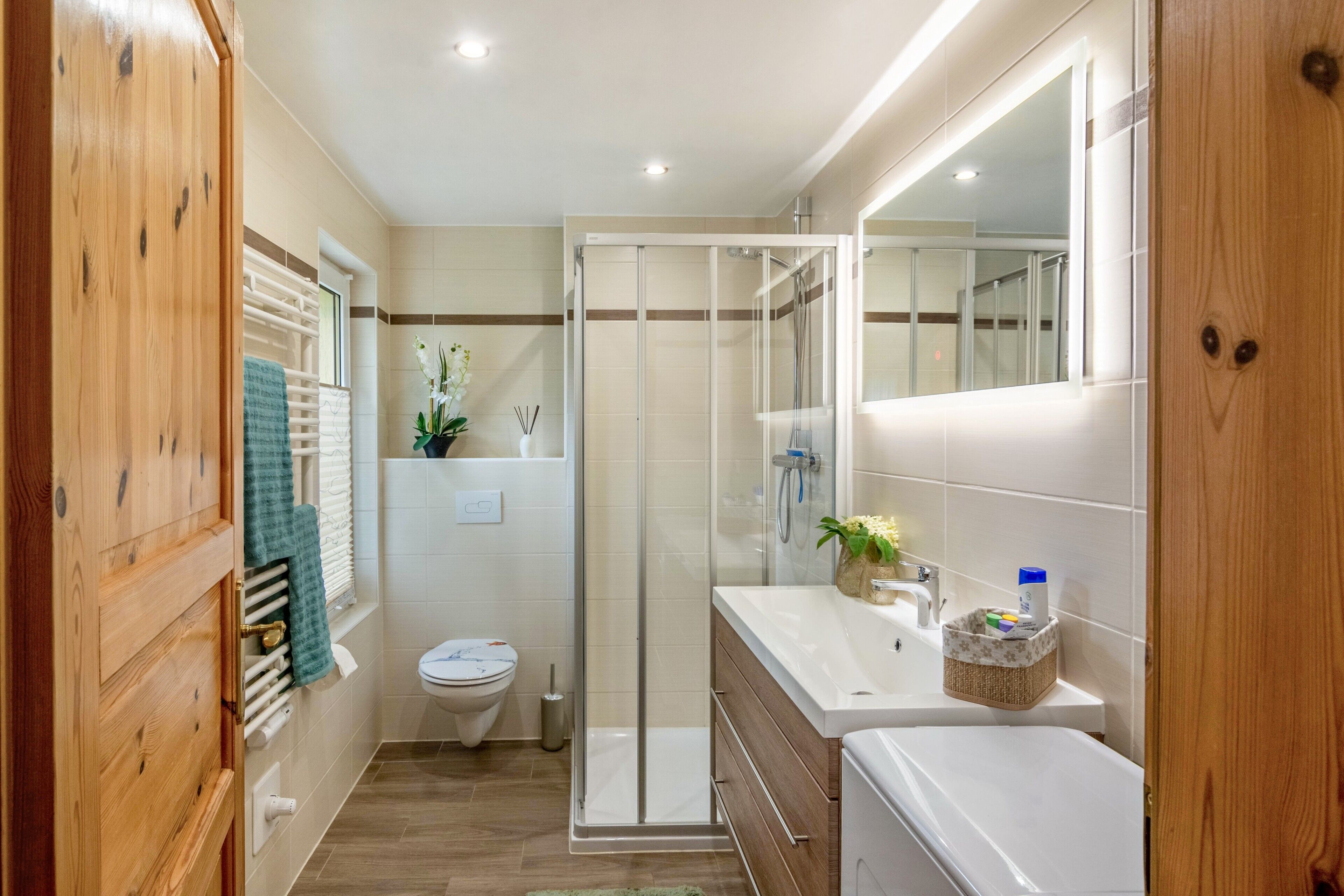 Shower, hair dryer, towels