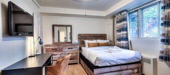 Cozy and comfortable 1BR in Montreal