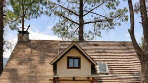 A two-story house with a gabled roof, a front porch, and a small garden area.