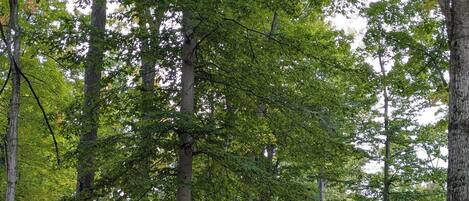 Casa adosada | Exterior