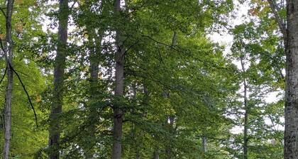 Chalet w Loft Near Sleeping Bear 2552