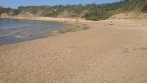 Ein Strand mit klarem Wasser, sandigem Ufer und vereinzelter Vegetation.