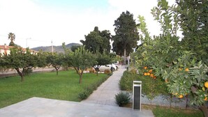 Ein gepflasterter Weg führt durch einen Garten mit Orangenbäumen, in der Nähe ist ein weißes Auto geparkt.