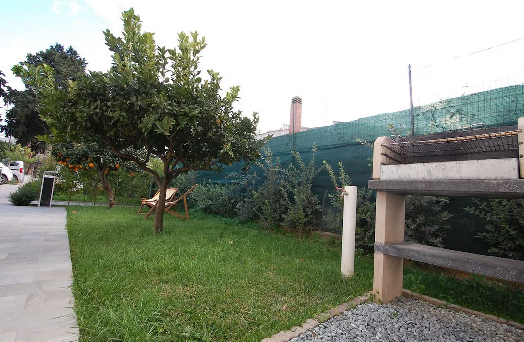 Un espace herbeux avec un banc, un arbre aux fruits oranges et une clôture en arrière-plan.