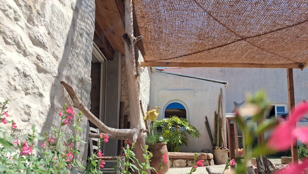A rustic outdoor area with a wooden structure, a pergola, and various potted plants.