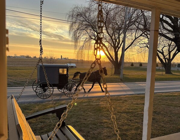 Enceinte de l’hébergement