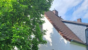 Ett vitt hus med ett tak täckt av tegelpannor, ett fönster och en välskött trädgård med gräsmatta och buskar.