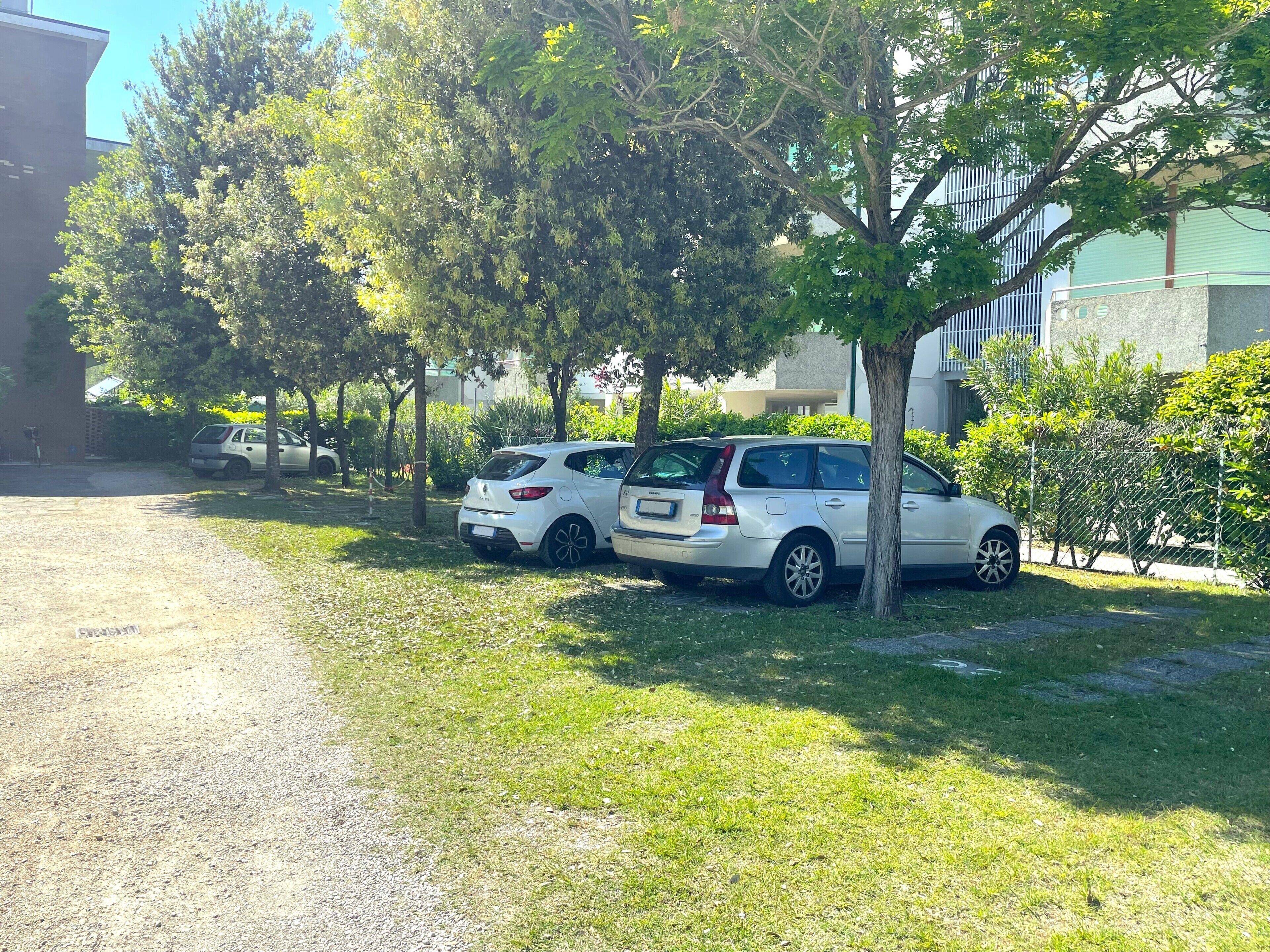 A parking area with two white cars parked under trees, surrounded by greenery and a building in the background.