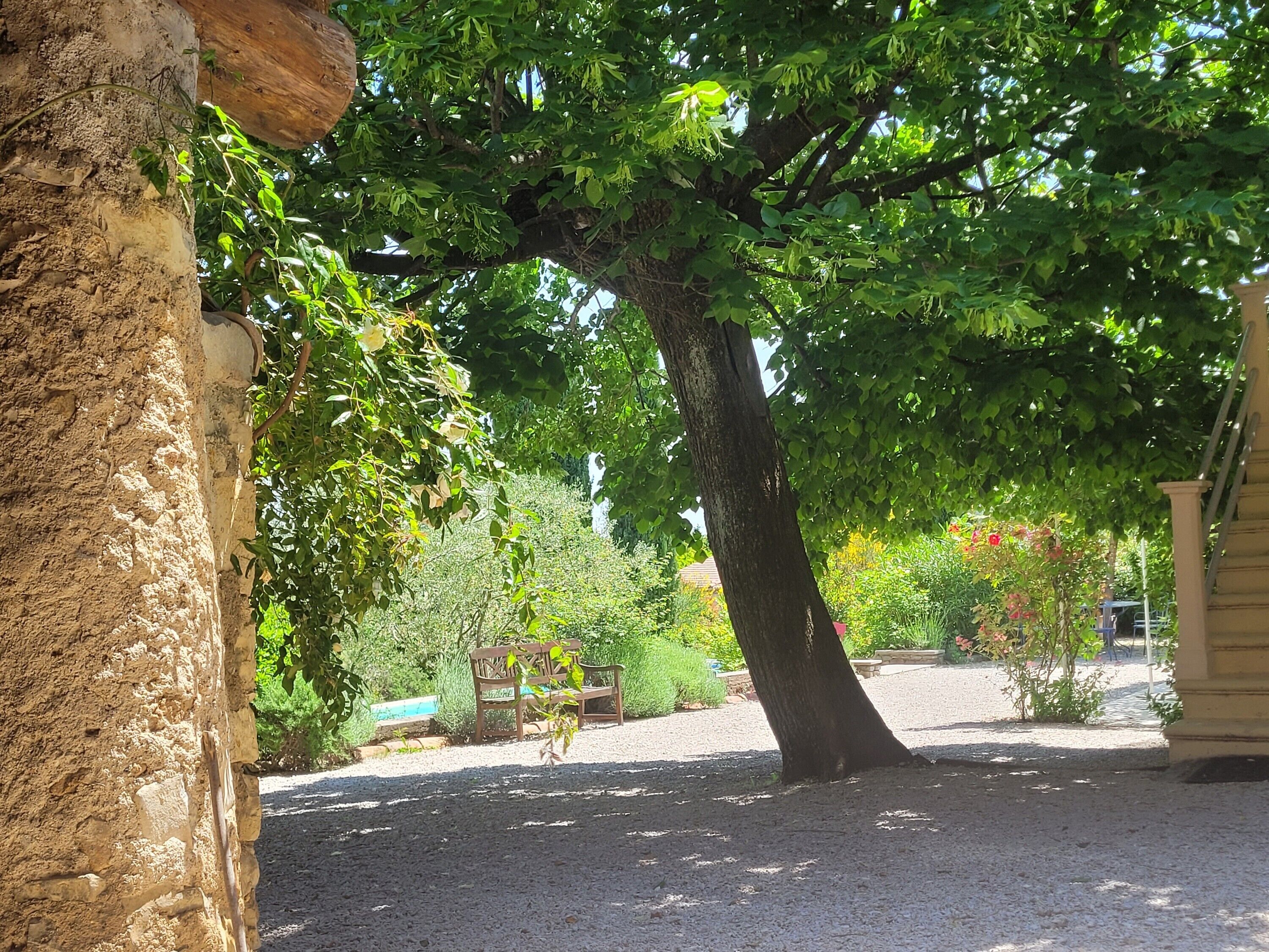 Overnattingsstedets uteområder