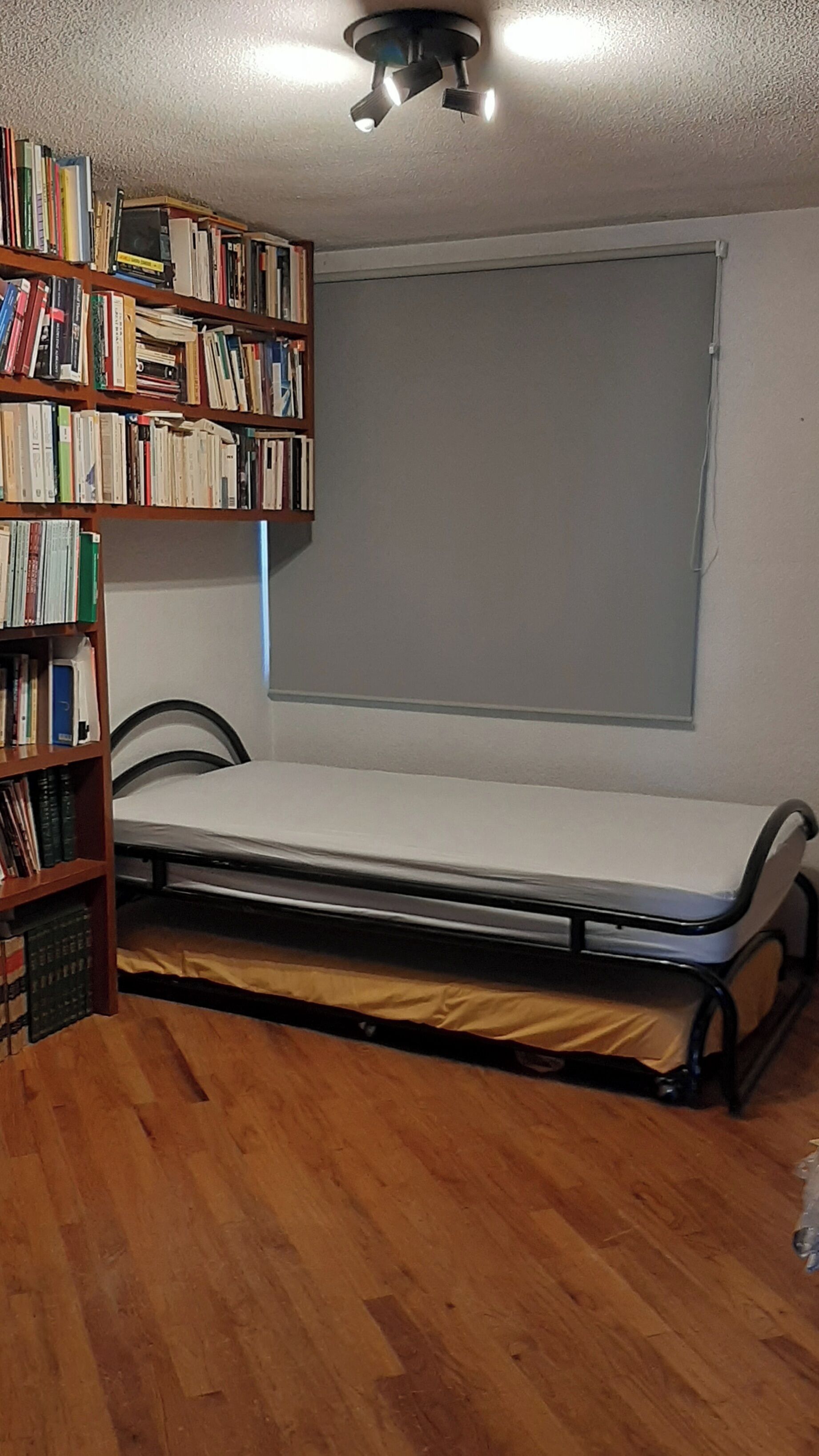 A room with a bed, a bookshelf, and a ceiling fan.