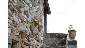 A stone staircase leading up to a building with a rustic stone wall and potted plants. - 18th CENTURY STONE BASTIDE in UZES (La Bastide-d'Engras)