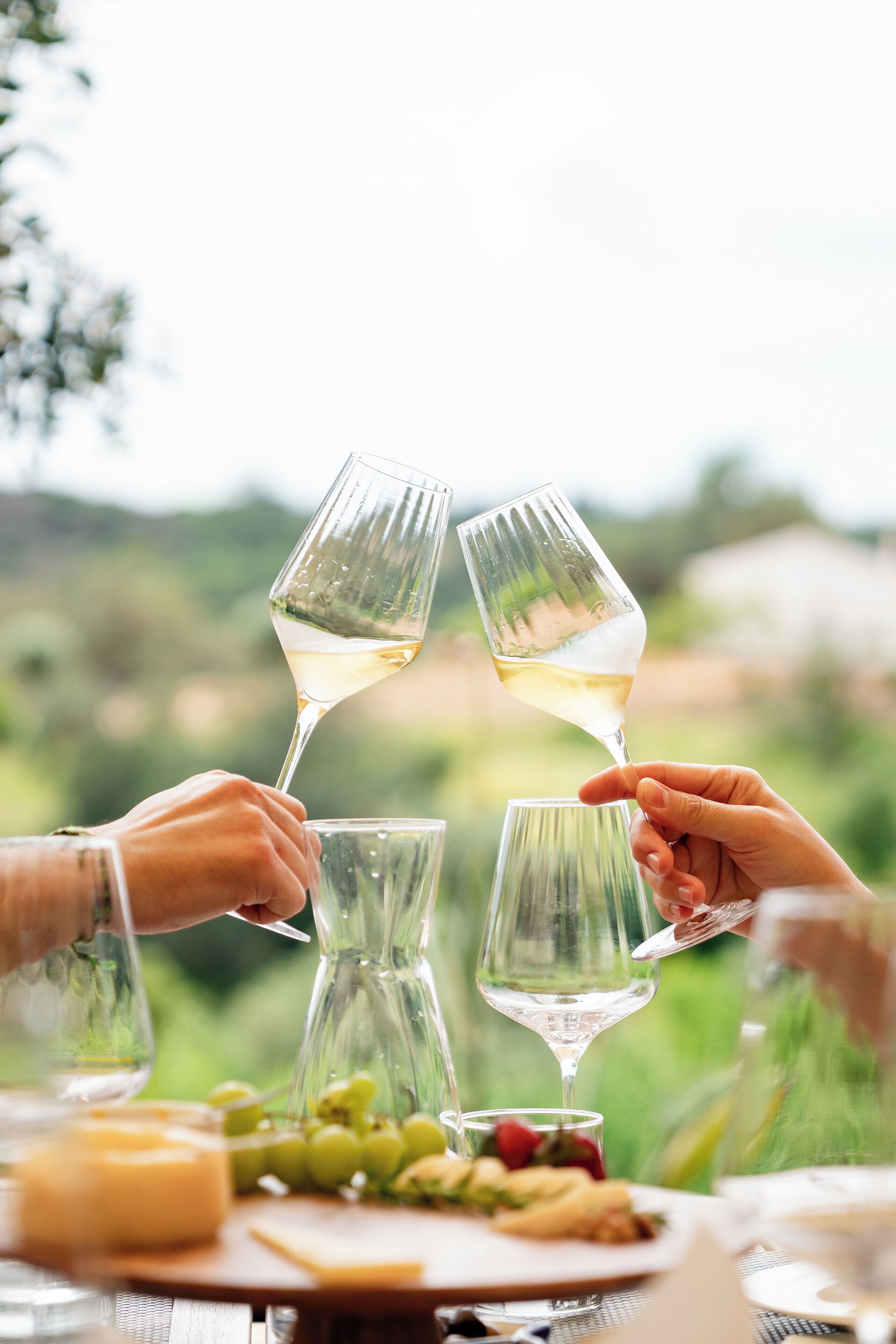 A table with wine glasses, cheese, and grapes, set outdoors with a blurred natural background.