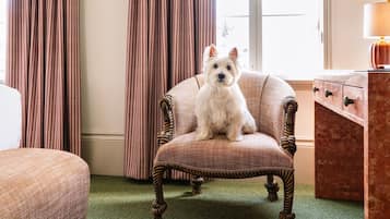 Aceita animais de estimação