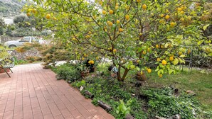A garden with a paved walkway, a tree with yellow fruits, and a stone wall in the background. - Holiday Home 'Piccolo Angolo di Paradiso' with Private Terrace, Garden & Wi-Fi (Taggia)