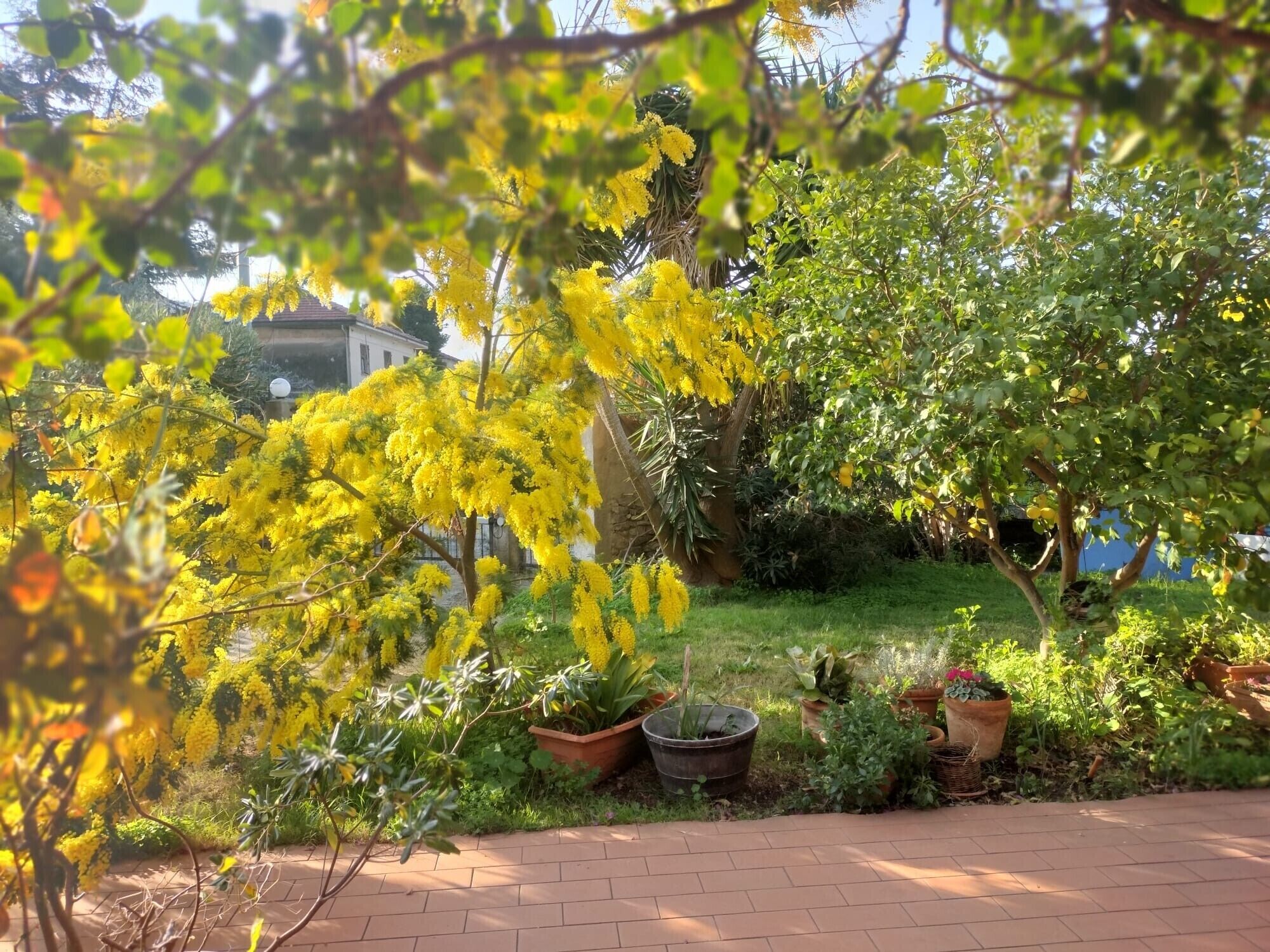 Área da propriedade