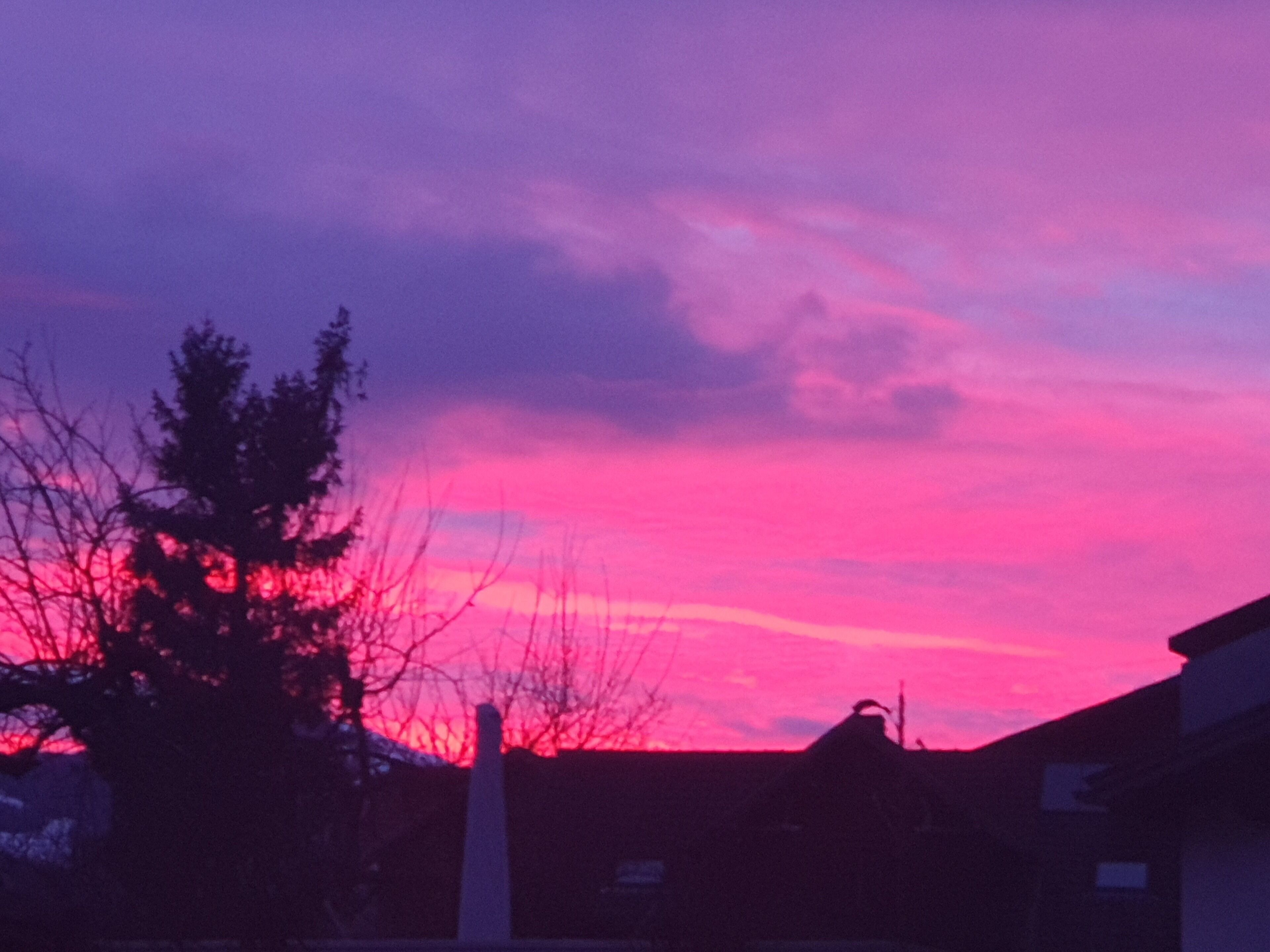 A sunset with a pink and purple sky, silhouettes of trees, and a building with a sloped roof.