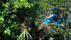 Un exuberante jardín tropical con una palmera y follaje denso.