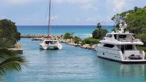 A marina with two yachts docked near a rocky shoreline with palm trees. - Ground Floor Condo with Marina View & Pool Access (Puerto Aventuras)