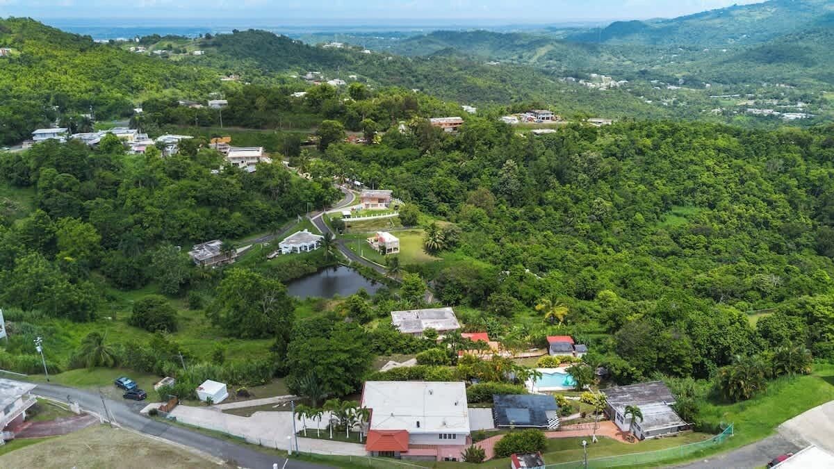 An aerial view of a residential area with houses, a swimming pool, and a road.