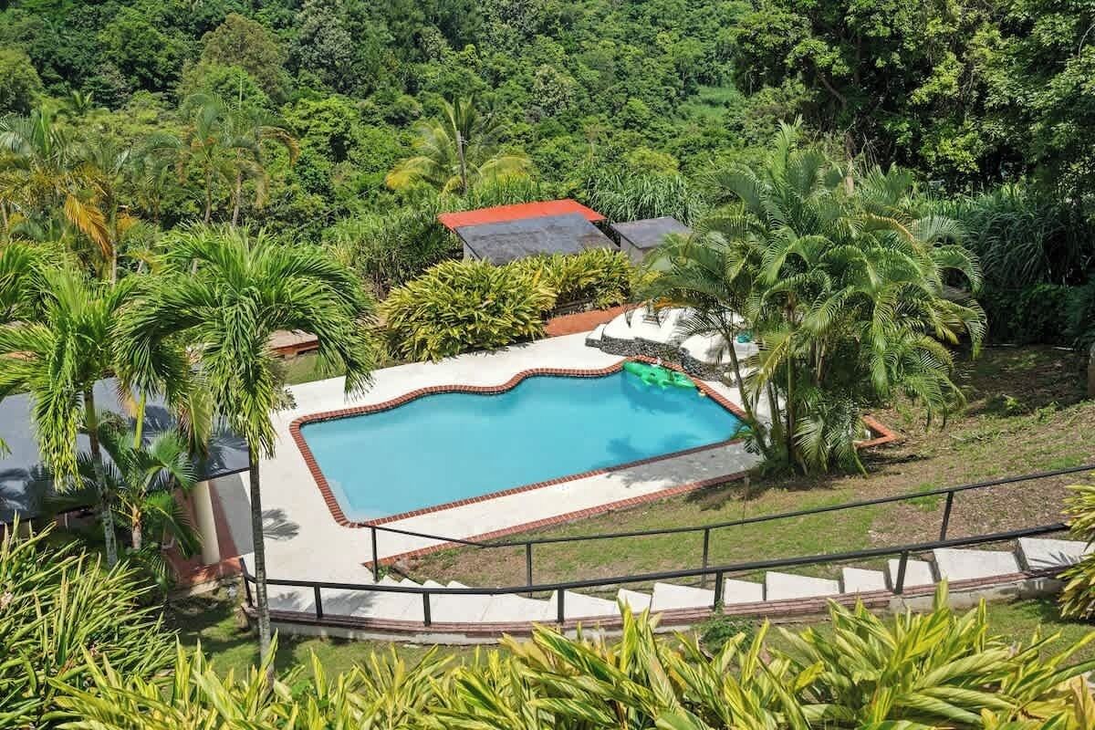 A rectangular swimming pool with a red border, surrounded by lush greenery and palm trees.