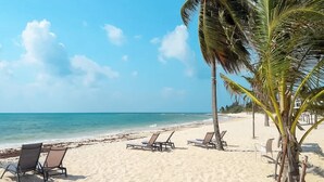 Uma praia com quatro cadeiras de descanso e uma palmeira.