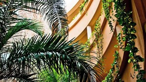 A building with curved architecture and lush greenery, including palm trees and climbing plants. - Private Jacuzzi | Canal View Terrace (Puerto Aventuras)