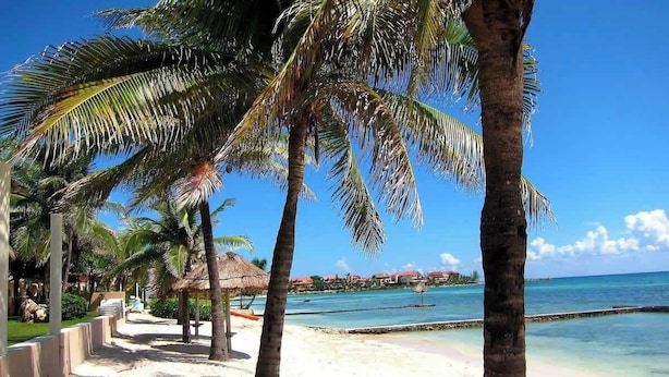 A beach with palm trees, a clear blue sky, and a calm sea. - Private Jacuzzi | Canal View Terrace (Puerto Aventuras)