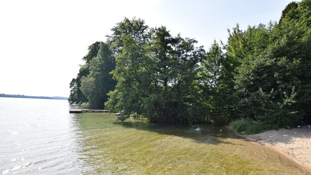 A clear lake with a sandy beach and dense trees along the shore. - House With Private Garden and Sauna (Parchowo)