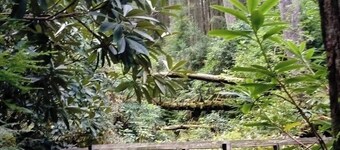 3 Bed House - Mountain Views, Firepit, Bbq