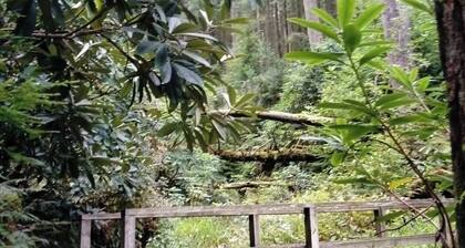 3 Bed House - Mountain Views, Firepit, Bbq