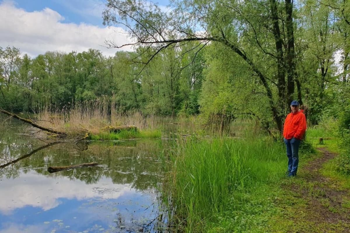 Iemand staat aan een kalm waterlichaam, omringd door weelderige begroeiing en bomen.