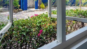 Une vue à travers la fenêtre d’un bâtiment dont l’entrée est bleue, avec des palmiers et un ciel dégagé.