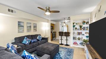 TV, fireplace, books