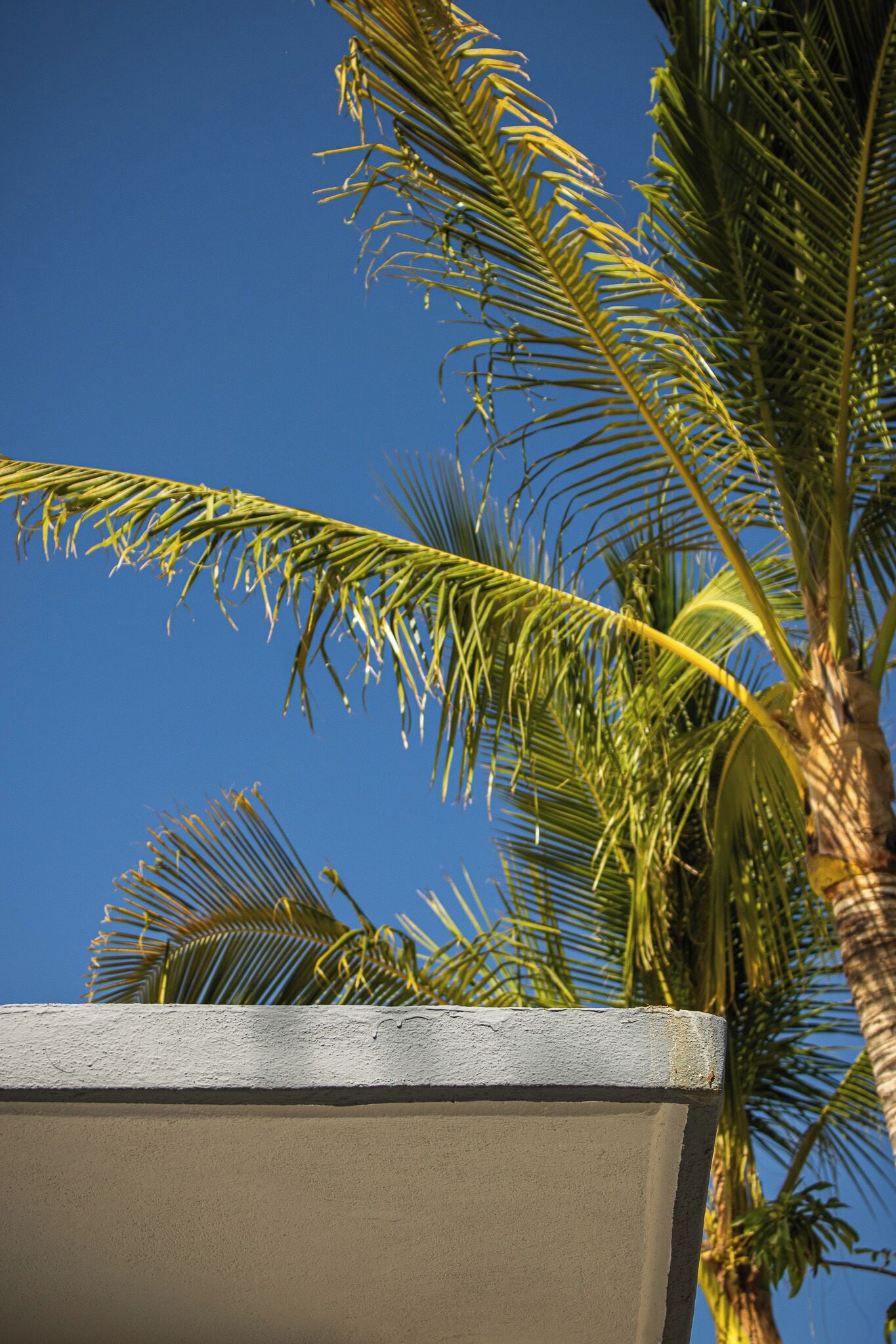 Detalle del exterior