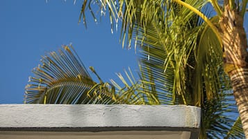 Detalle del exterior