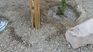Un letrero que dice 'Flor de Cactus' en un jardín con cercado de madera, suelo de grava y un edificio al fondo.