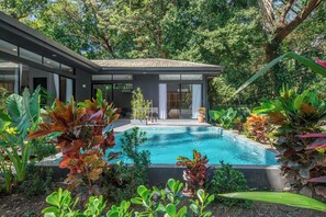 Pool - Peaceful Home surrounded by Nature w/ pool in Pelada w/ private pool (Provincia de Guanacaste)