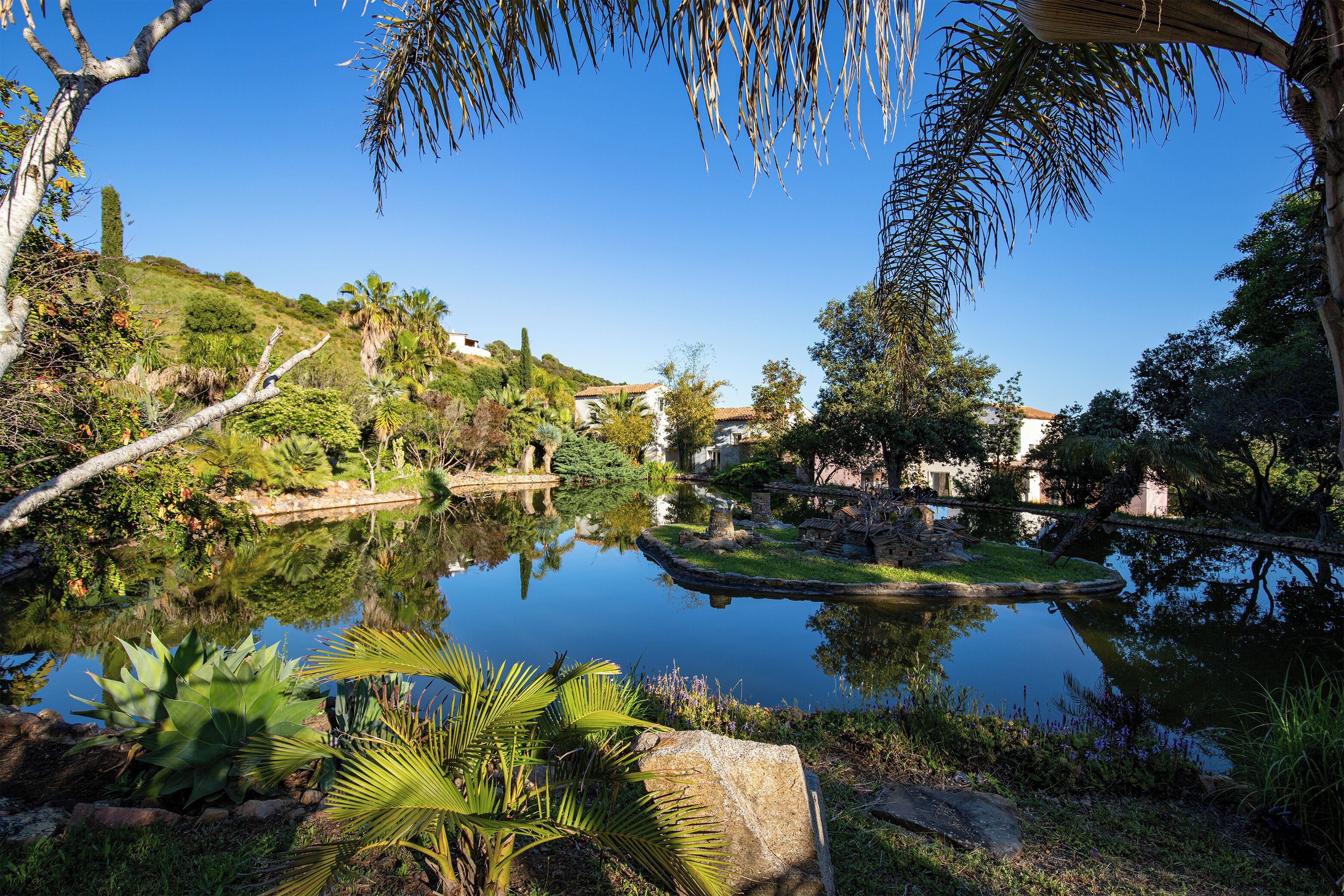 A serene garden with a pond, lush greenery, and a clear blue sky.