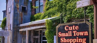 New! Lake Cabin - PickleBall, Sandy Bottom, Ice Baths, Bike Paths, Volleyball