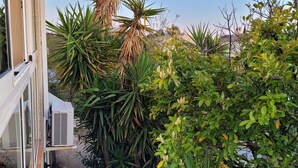 A courtyard with various plants, a tree, and a building with a window and air conditioning unit. - Appart in solar villa and veranda garden in quiet cul-de-sac - 8mn from the sea (Lattes)