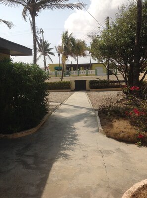 Property grounds - Studio in middle of Noord. SuperFood on 0,56 miles and Eagle Beach 0,75 miles. (Noord)