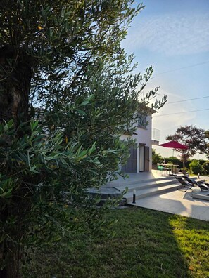 Property grounds - Villa with pool (Santa-Lucia-di-Moriani)