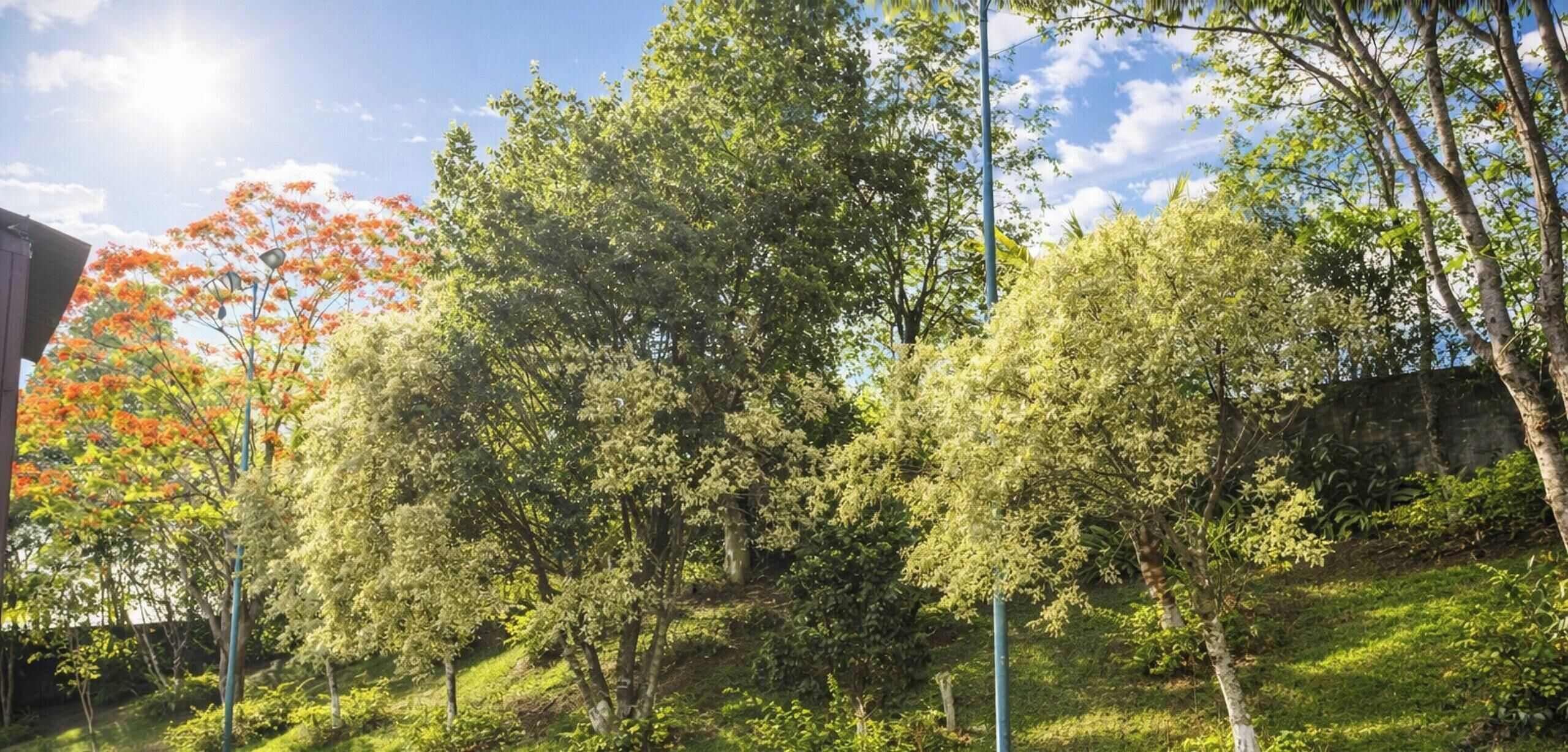 木屋 | 住宿一隅
