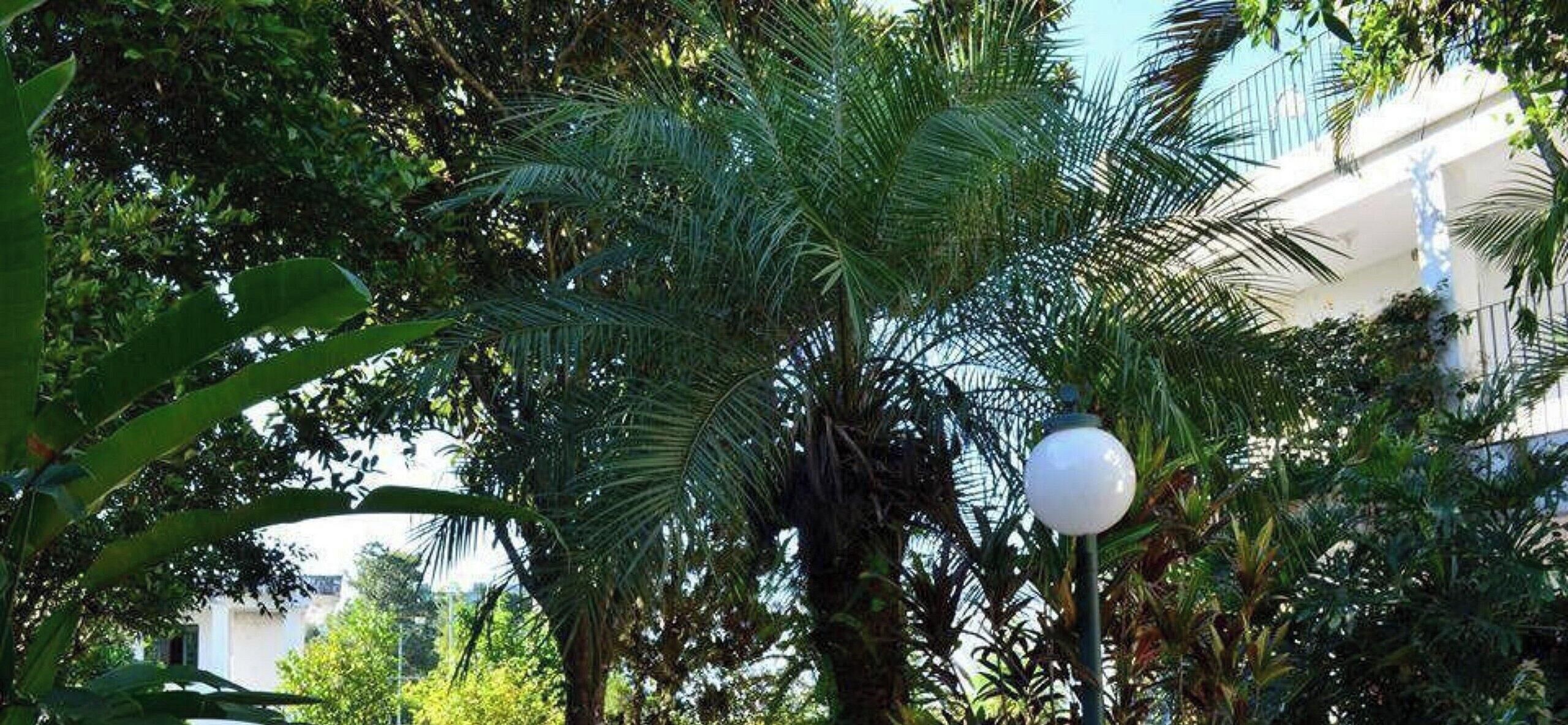 Chalet | Jardines del alojamiento