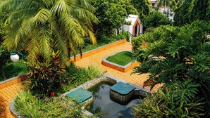 A landscaped garden with a small pond, palm trees, and a brick pathway. - Chácara 3 Poderes Piscina - 60 pessoas (Guararema)