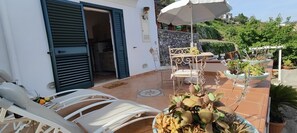 Terras