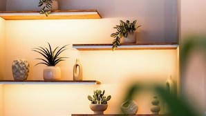 A modern interior with multiple shelves displaying various decorative items and plants.