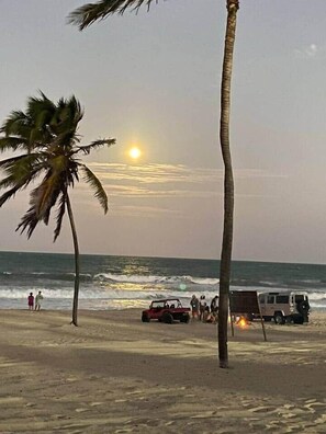 A beach with palm trees, a vehicle, and people by the water. - Bungalow Frente Mar N 101 (Caucaia)